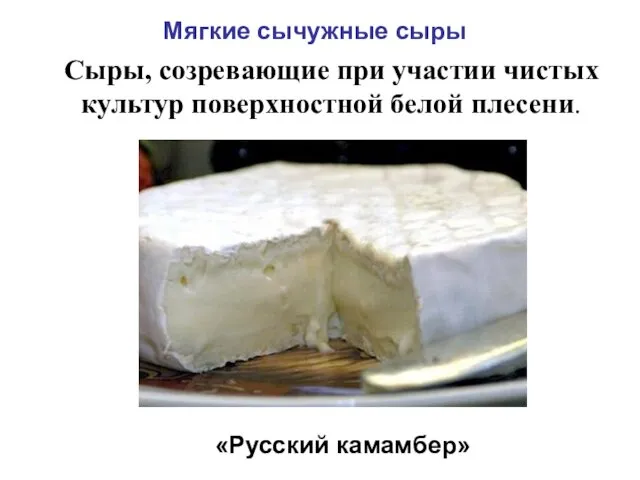 Мягкие сычужные сыры Сыры, созревающие при участии чистых культур поверхностной белой плесени. «Русский камамбер»