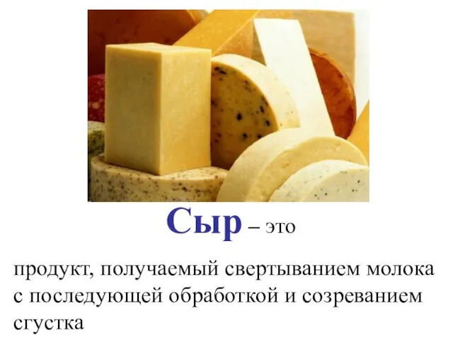 Сыр – это продукт, получаемый свертыванием молока с последующей обработкой и созреванием сгустка