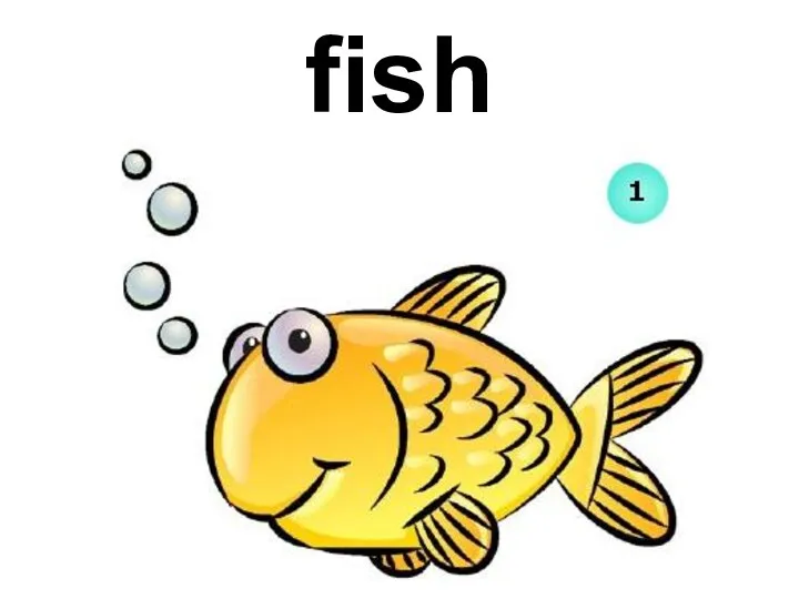 fish