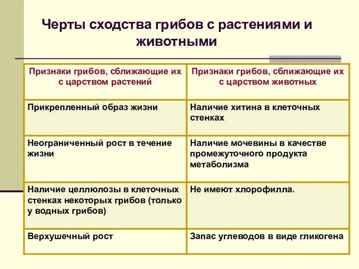 Черты сходства грибов с растениями и животными