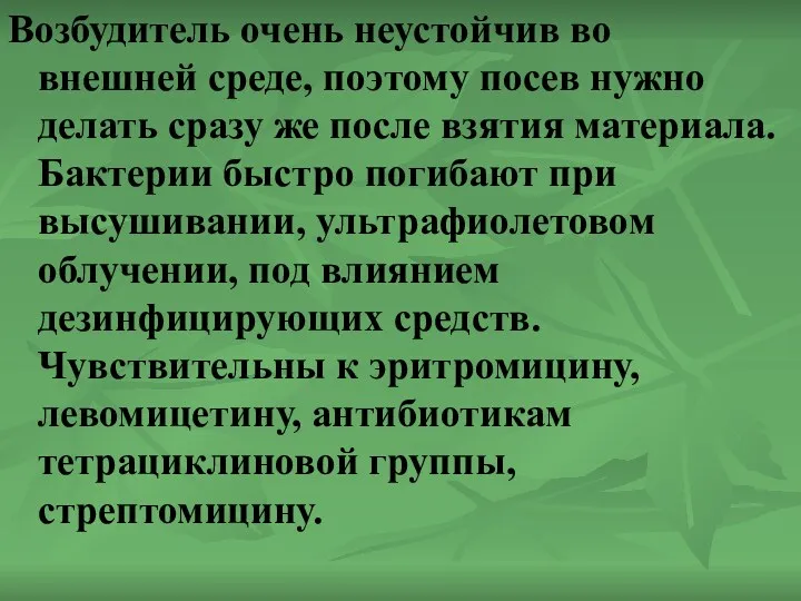 Возбудитель очень неустойчив во внешней среде, поэтому посев нужно делать