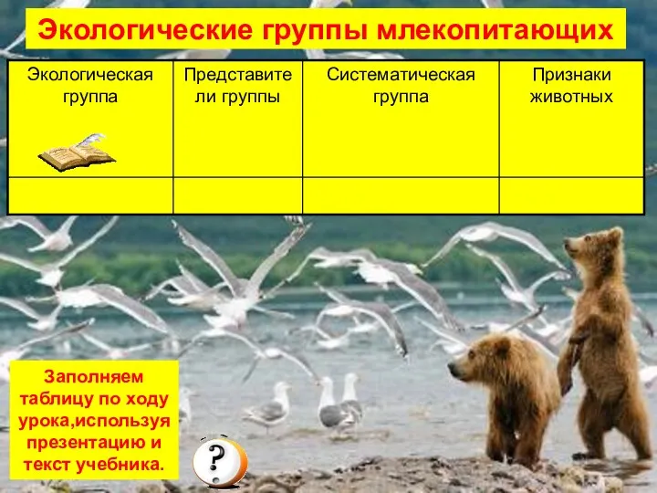 Экологические группы млекопитающих Заполняем таблицу по ходу урока,используя презентацию и текст учебника.