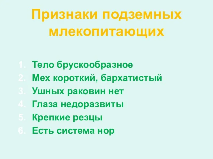 Тело брускообразное Мех короткий, бархатистый Ушных раковин нет Глаза недоразвиты Крепкие резцы Есть