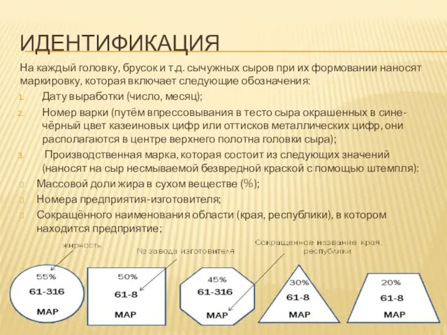 ИДЕНТИФИКАЦИЯ На каждый головку, брусок и т.д. сычужных сыров при