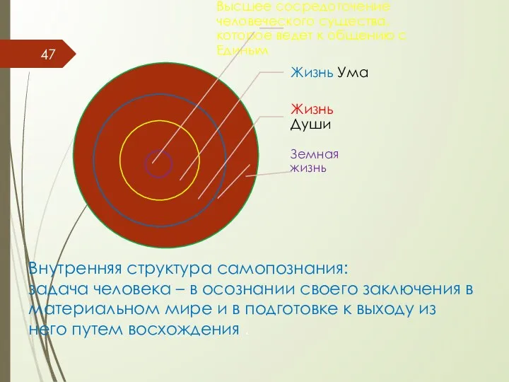 Внутренняя структура самопознания: задача человека – в осознании своего заключения