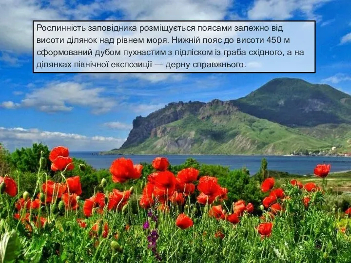 Рослинність заповідника розміщується поясами залежно від висоти ділянок над рівнем