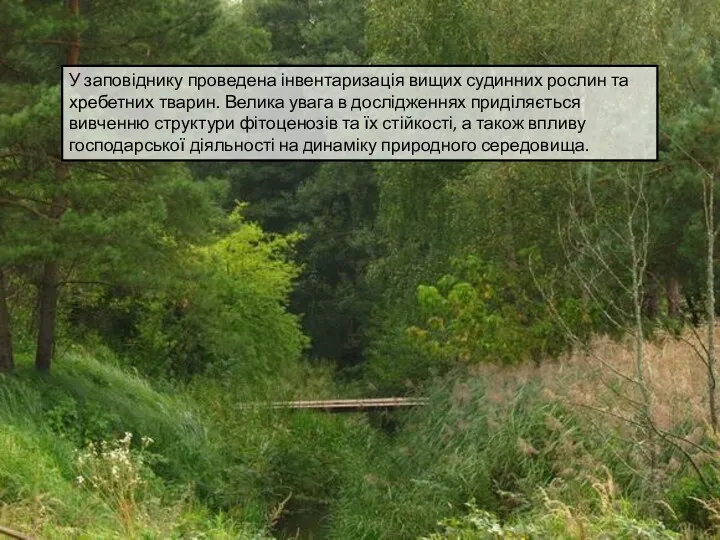 У заповіднику проведена інвентаризація вищих судинних рослин та хребетних тварин.