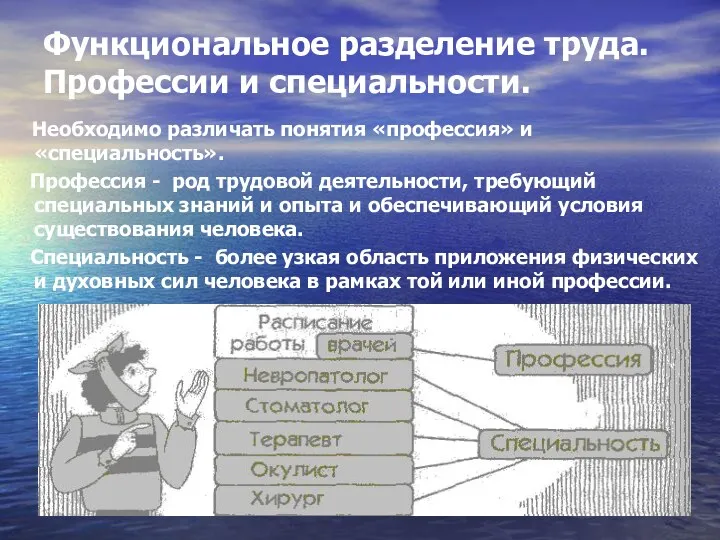 Функциональное разделение труда. Профессии и специальности. Необходимо различать понятия «профессия»