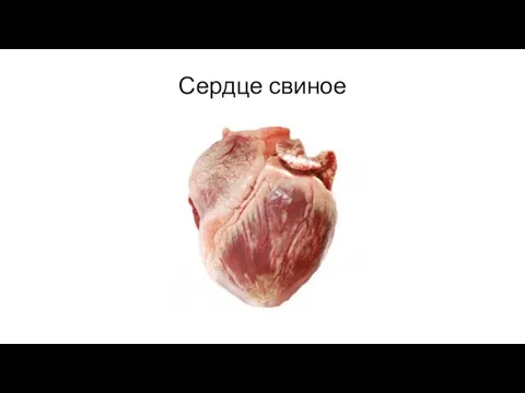 Сердце свиное