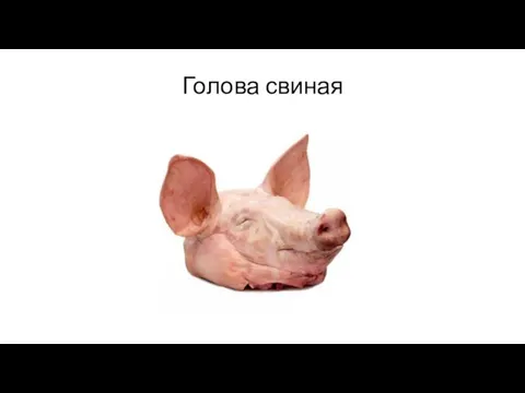 Голова свиная