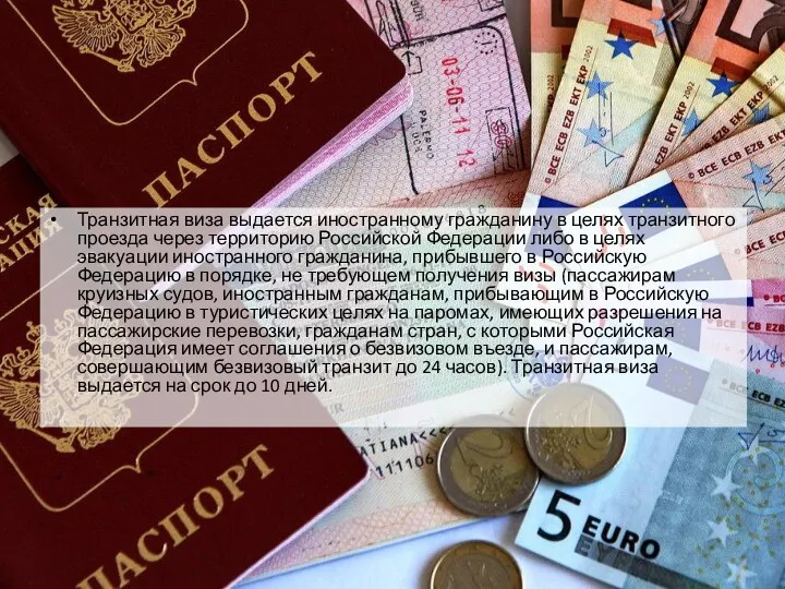 Транзитная виза выдается иностранному гражданину в целях транзитного проезда через территорию Российской Федерации