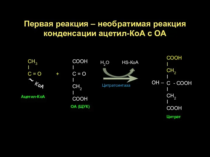 Первая реакция – необратимая реакция конденсации ацетил-КоА с ОА СН3