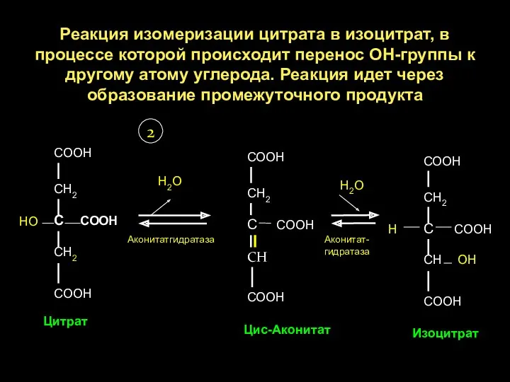 Реакция изомеризации цитрата в изоцитрат, в процессе которой происходит перенос ОН-группы к другому