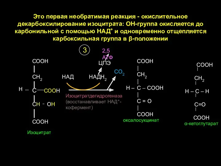 Это первая необратимая реакция - окислительное декарбоксилирование изоцитрата: ОН-группа окисляется