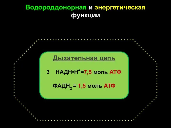 Водороддонорная и энергетическая функции Дыхательная цепь НАДН•Н+=7,5 моль АТФ ФАДН2 = 1,5 моль