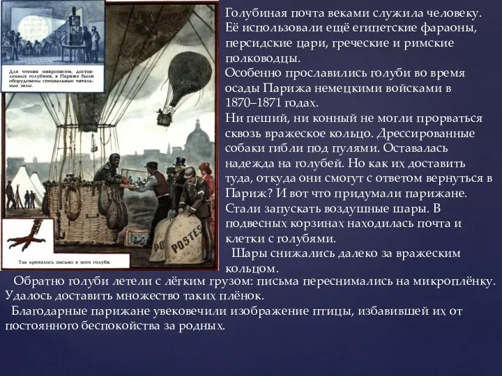 Голубиная почта веками служила человеку. Её использовали ещё египетские фараоны,