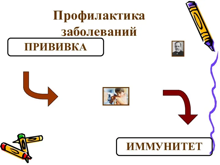 Профилактика заболеваний ПРИВИВКА ИММУНИТЕТ