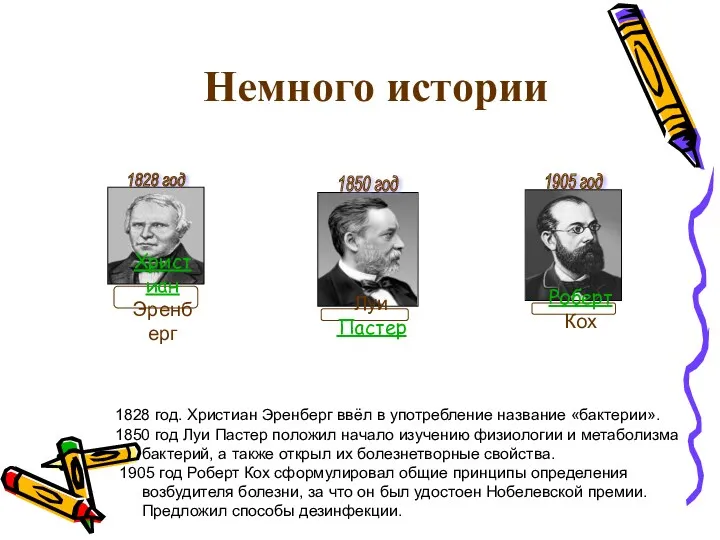 Немного истории 1828 год. Христиан Эренберг ввёл в употребление название