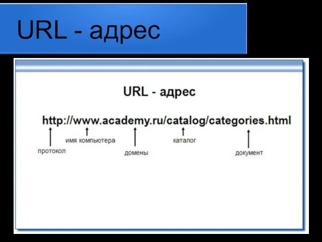 URL - адрес