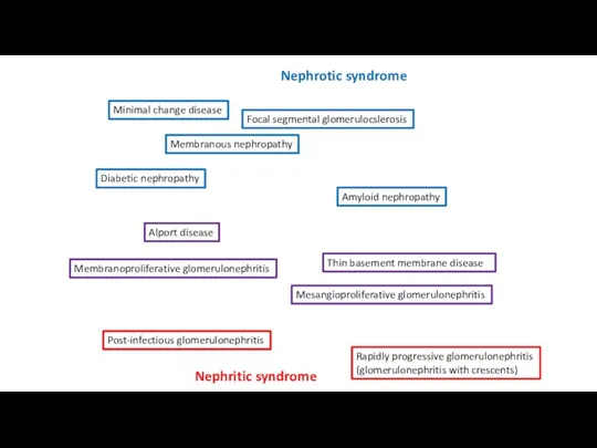 Minimal change disease Focal segmental glomerulocslerosis Membranous nephropathy Diabetic nephropathy
