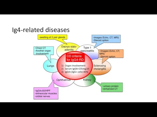 Ig4-related diseases