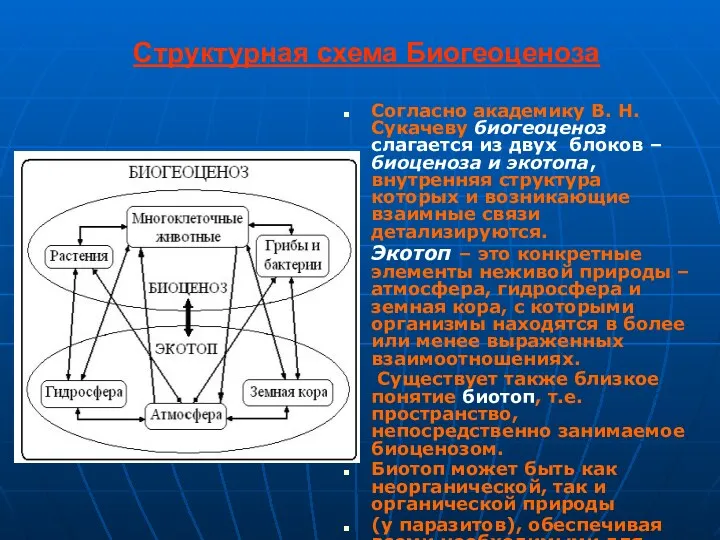 Структурная схема Биогеоценоза Согласно академику В. Н. Сукачеву биогеоценоз слагается