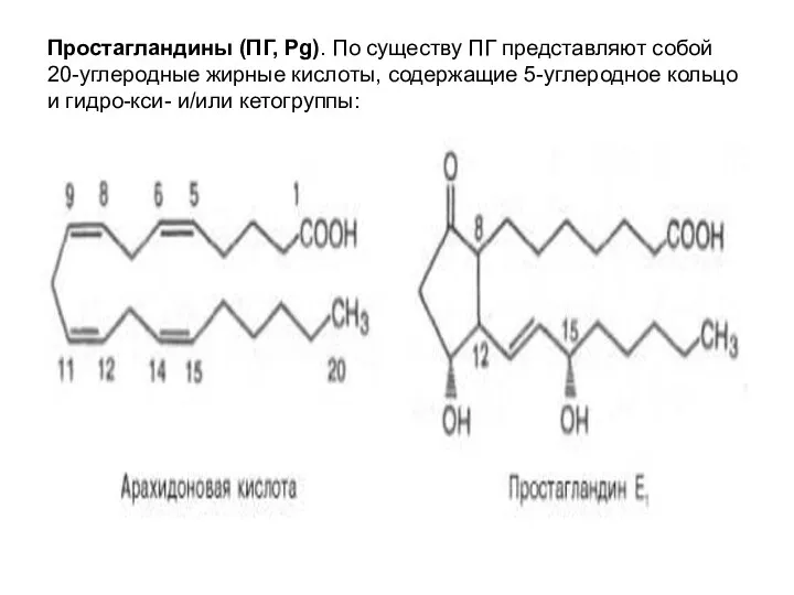 Простагландины (ПГ, Pg). По существу ПГ представляют собой 20-углеродные жирные
