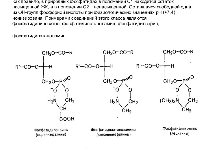 Как правило, в природных фосфатидах в положении С1 находится остаток