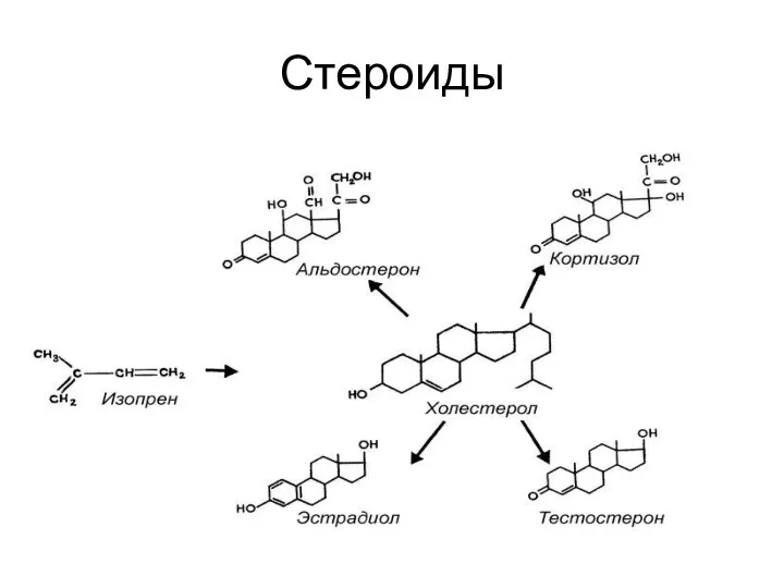 Стероиды