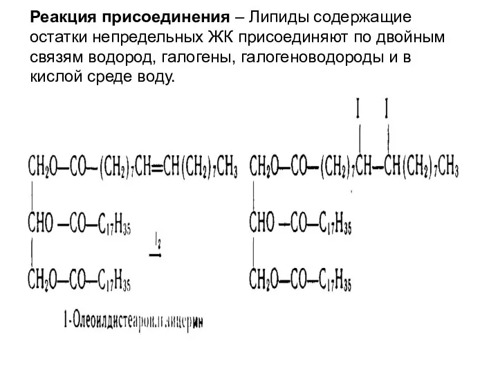 Реакция присоединения – Липиды содержащие остатки непредельных ЖК присоединяют по