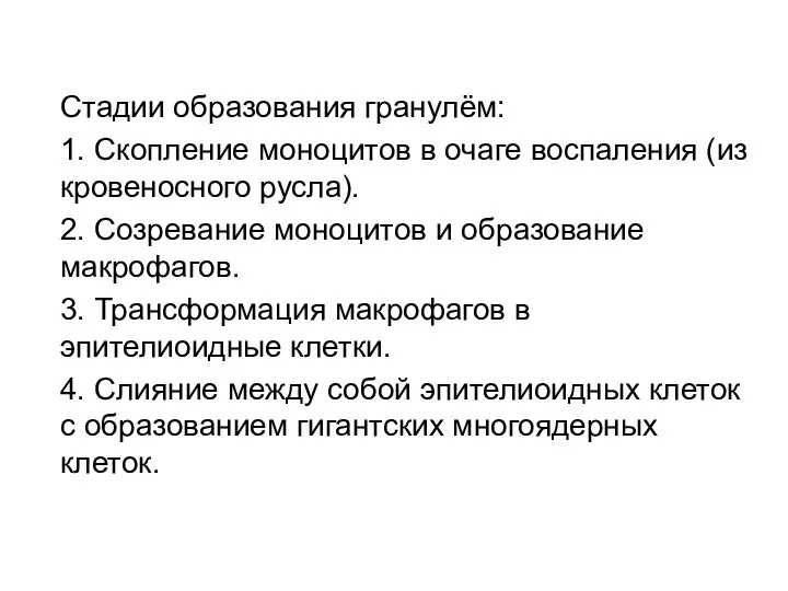 Стадии образования гранулём: 1. Скопление моноцитов в очаге воспаления (из