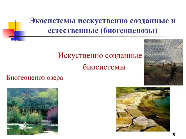 Экосистемы исскуственно созданные и естественные (биогеоценозы) Искуственно созданные биосистемы Биогеоценоз озера