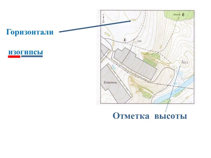 Отметка высоты Горизонтали изогипсы