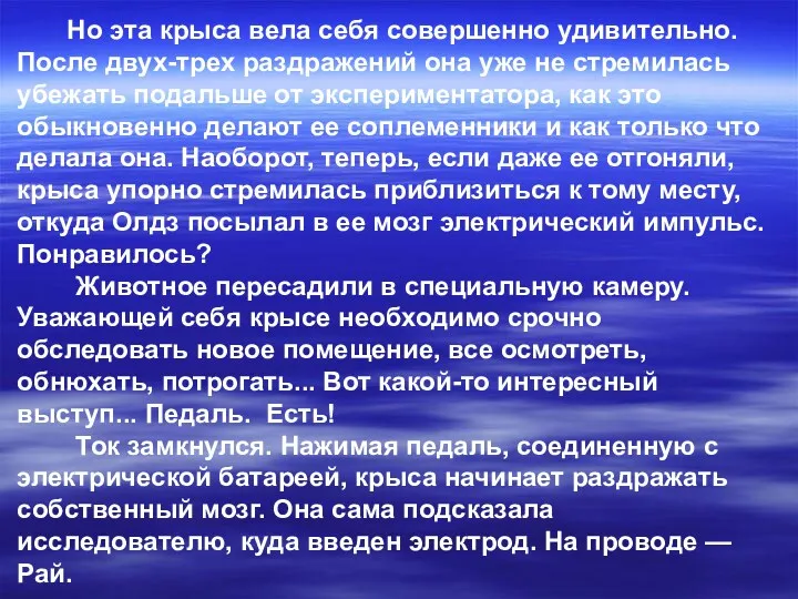 Но эта крыса вела себя совершенно удивительно. После двух-трех раздражений