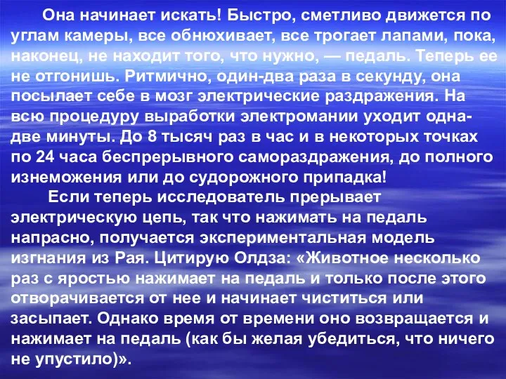 Она начинает искать! Быстро, сметливо движется по углам камеры, все