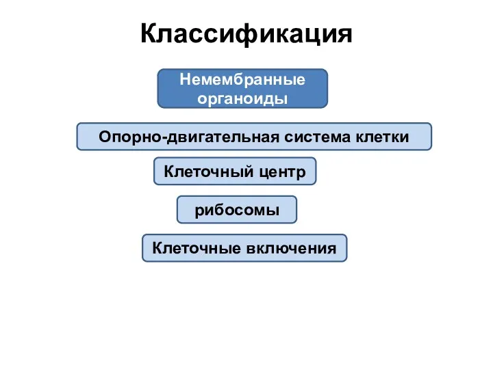 Классификация Немембранные органоиды Опорно-двигательная система клетки Клеточные включения Клеточный центр рибосомы