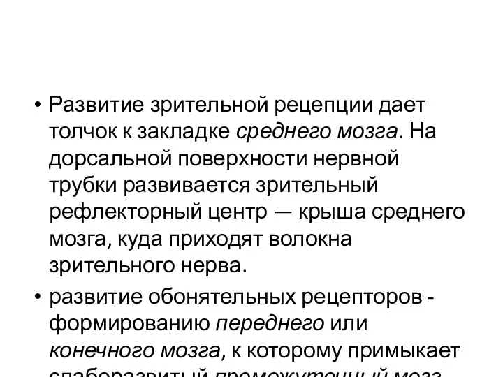 Развитие зрительной рецепции дает толчок к закладке среднего мозга. На