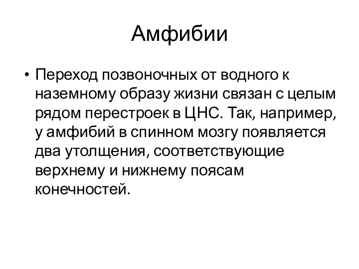 Амфибии Переход позвоночных от водного к наземному образу жизни связан