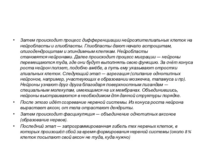 Затем происходит процесс дифференциации нейроэпителиальных клеток на нейробласты и глиобласты.