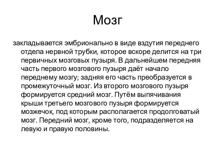 Мозг закладывается эмбрионально в виде вздутия переднего отдела нервной трубки,