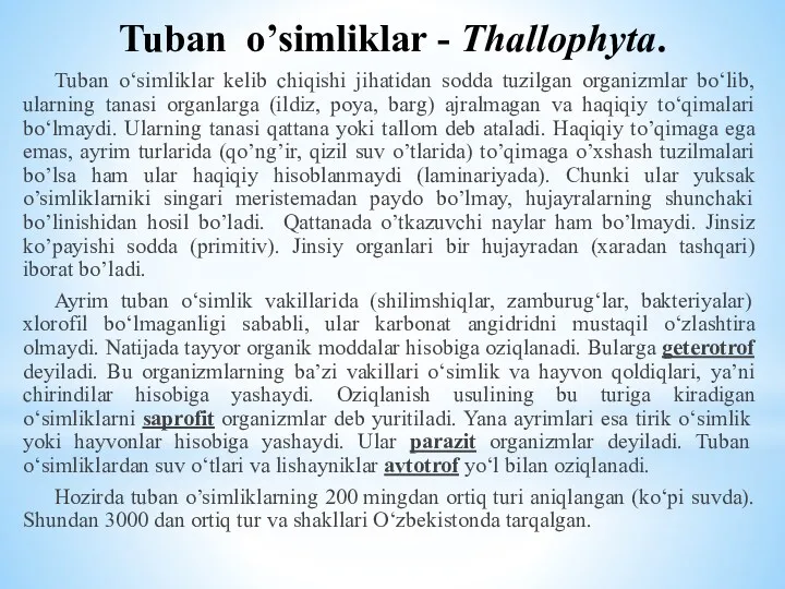 Tuban o’simliklar - Thallophyta. Tuban o‘simliklar kelib chiqishi jihatidan sodda