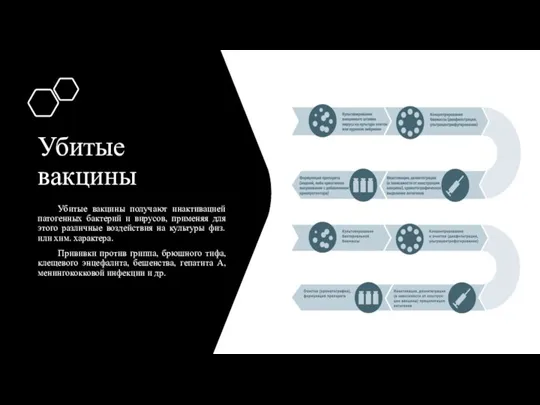 Убитые вакцины Убитые вакцины получают инактивацией патогенных бактерий и вирусов,