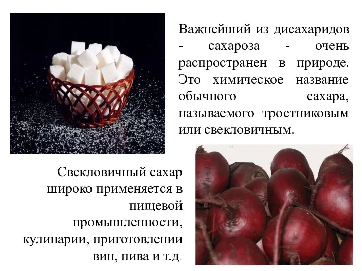 Важнейший из дисахаридов - сахароза - очень распространен в природе.