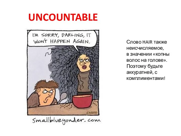 UNCOUNTABLE Слово HAIR также неисчисляемое, в значении «копны волос на голове». Поэтому будьте аккуратней, с комплиментами!