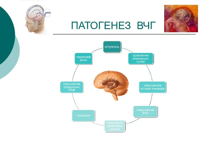 ПАТОГЕНЕЗ ВЧГ