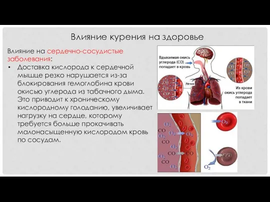 Влияние на сердечно-сосудистые заболевания: Доставка кислорода к сердечной мышце резко