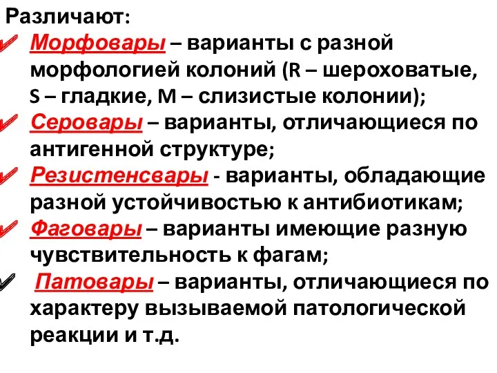 Различают: Морфовары – варианты с разной морфологией колоний (R –