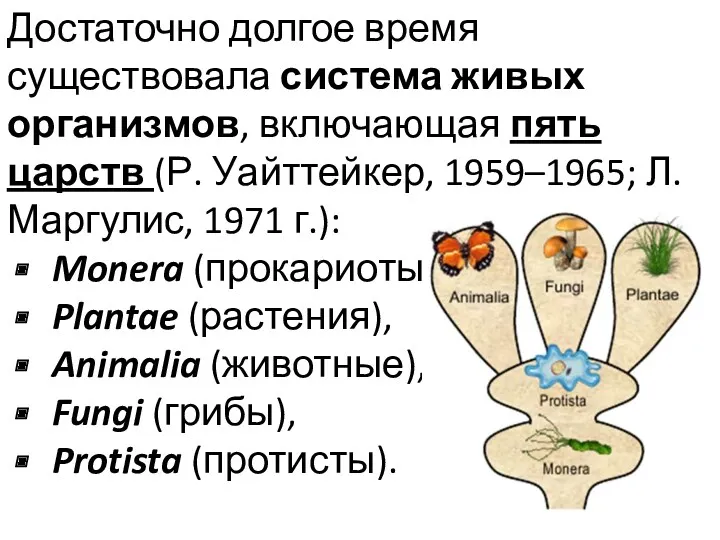 Достаточно долгое время существовала система живых организмов, включающая пять царств (Р. Уайттейкер, 1959–1965;