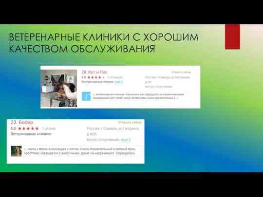 ВЕТЕРЕНАРНЫЕ КЛИНИКИ С ХОРОШИМ КАЧЕСТВОМ ОБСЛУЖИВАНИЯ