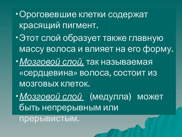 Ороговевшие клетки содержат красящий пигмент. Этот слой образует также главную